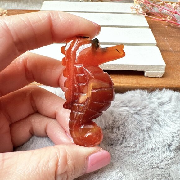 Gorgeous Small Carnelian Seahorse Carving - Picture 2 of 6